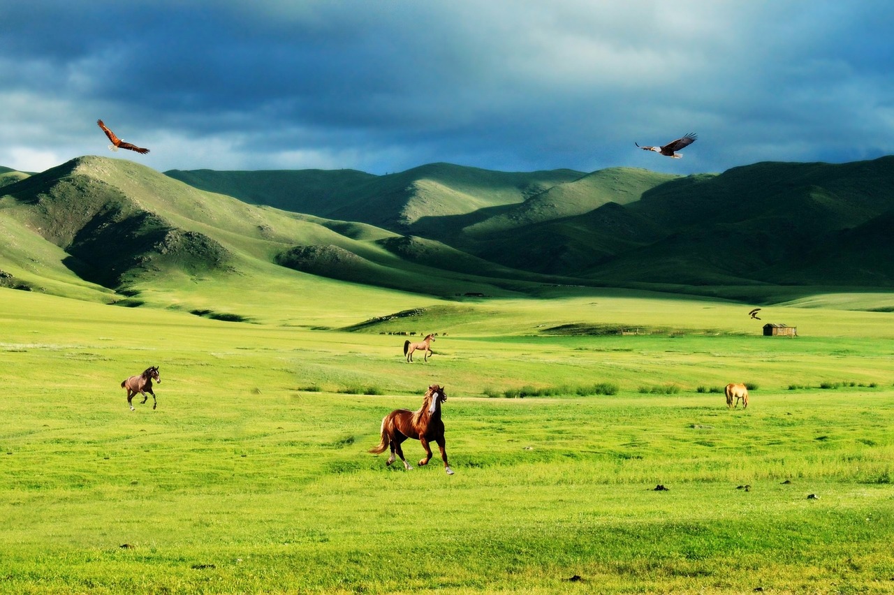 prairie steppes mountains free photo