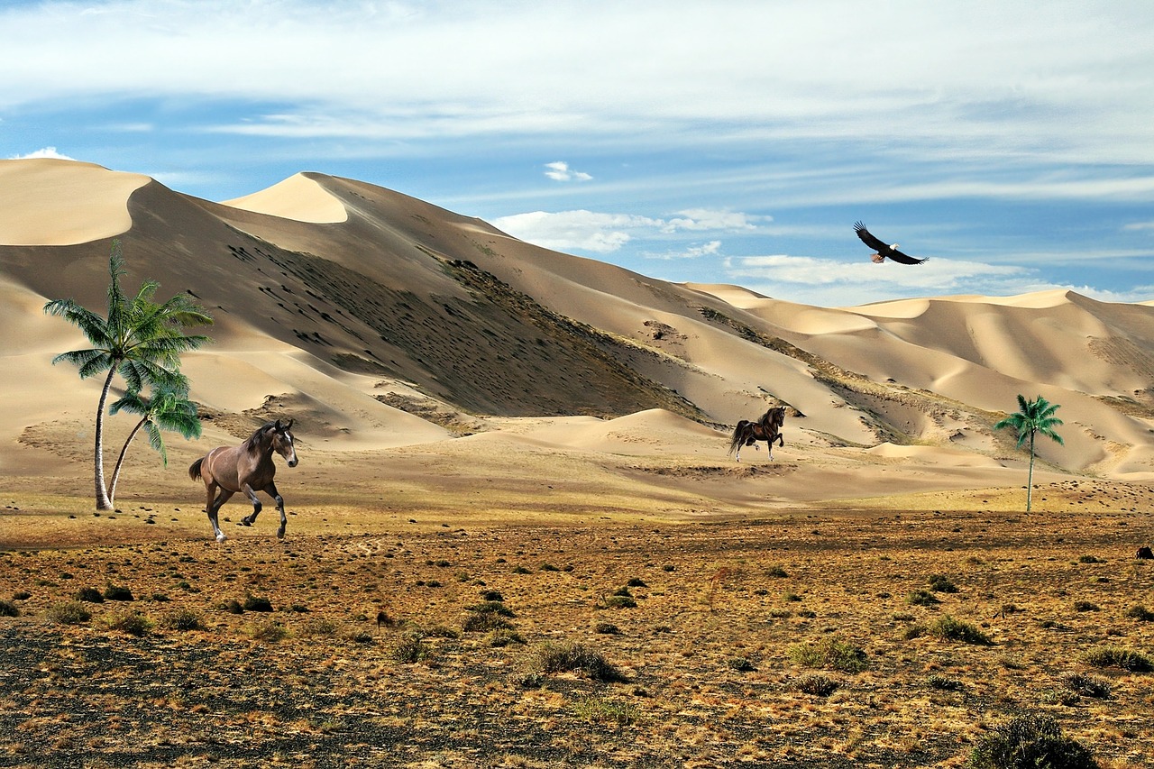 prairie steppes mountains free photo