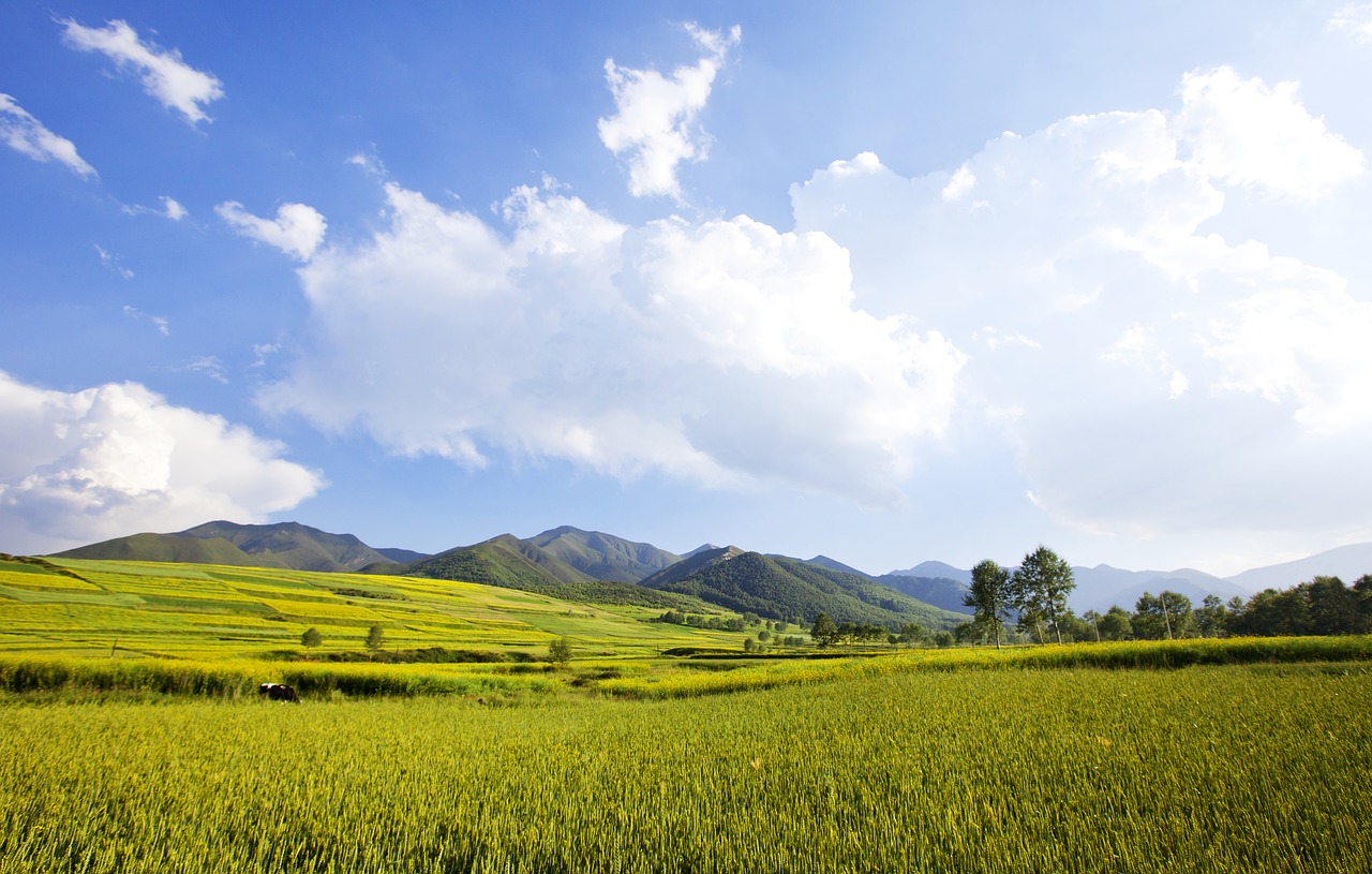 prairie sunshine white cloud free photo