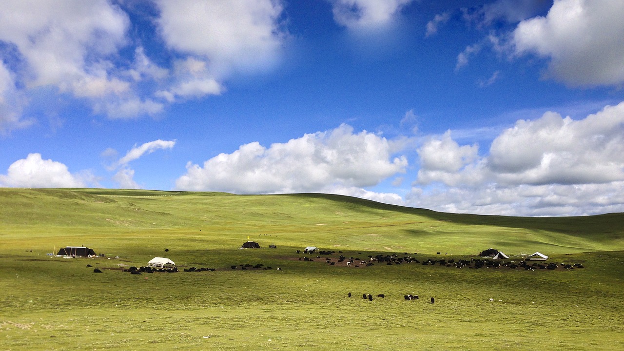 prairie blue sky white cloud free photo