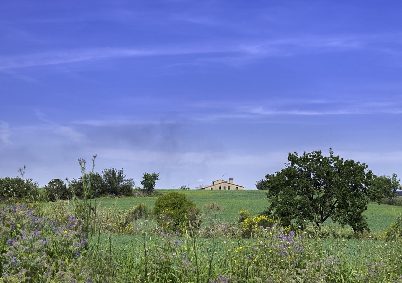 prairie house field free photo