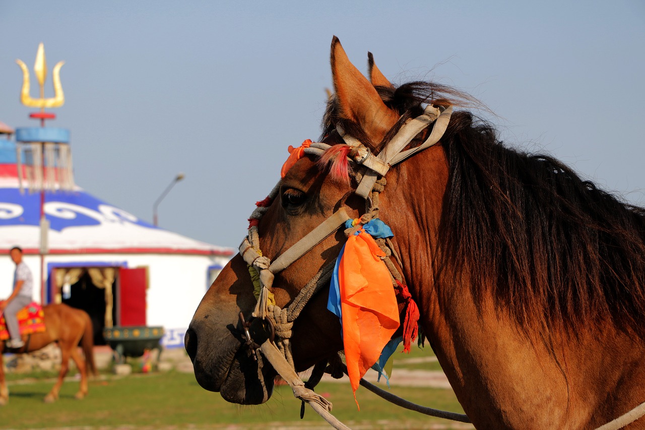 prairie horse yurts free photo