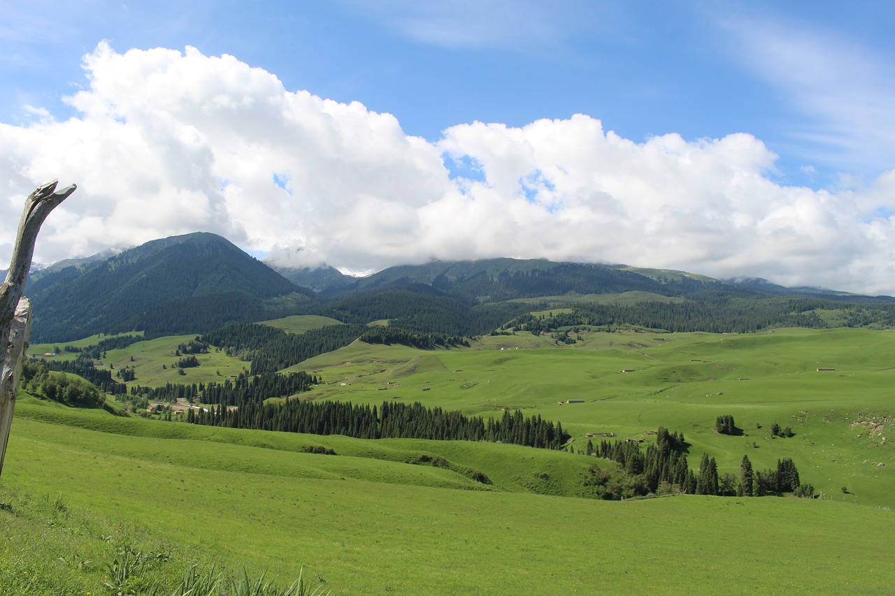 prairie the scenery in xinjiang free photo