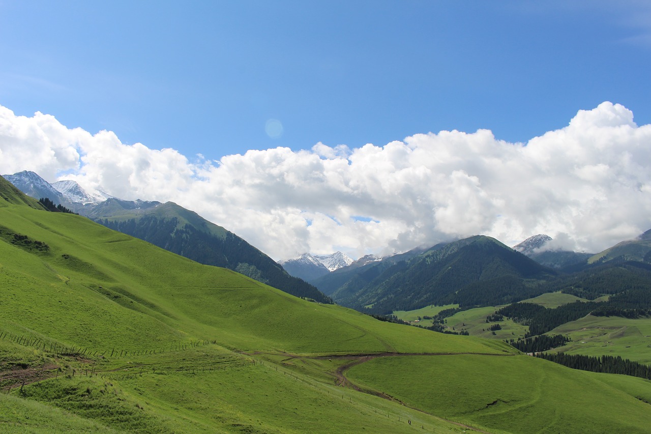 prairie the scenery in xinjiang free photo