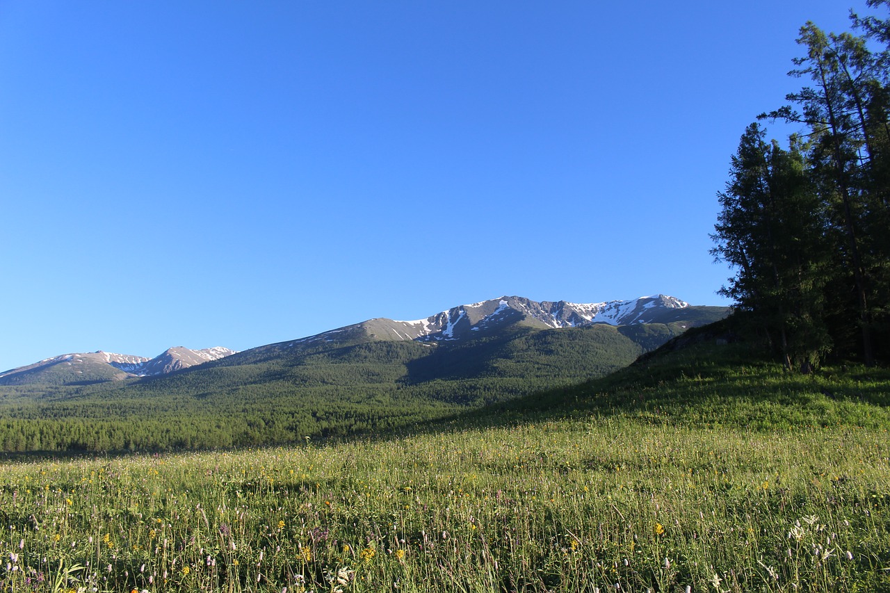 prairie snow mountain the scenery free photo