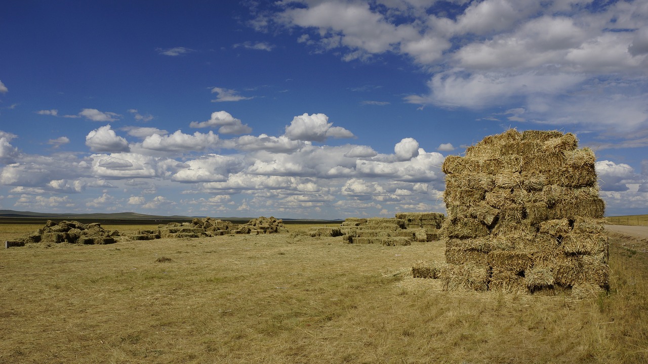 prairie haystack blue sky and white clouds free photo