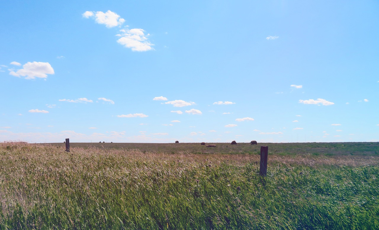 prairie sky grass free photo