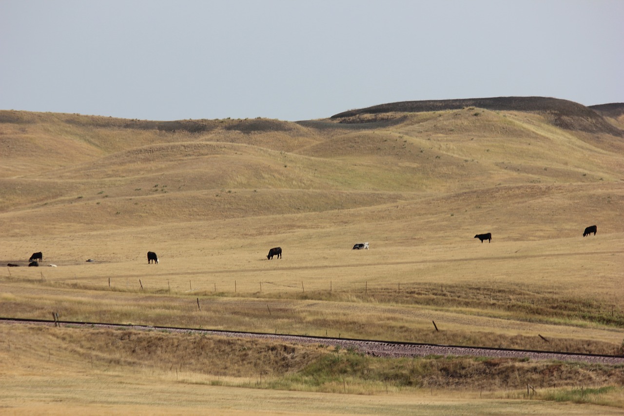 prairie field landscape free photo