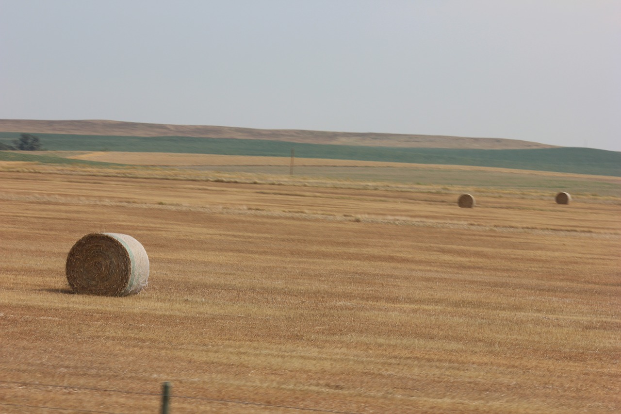 prairie field landscape free photo