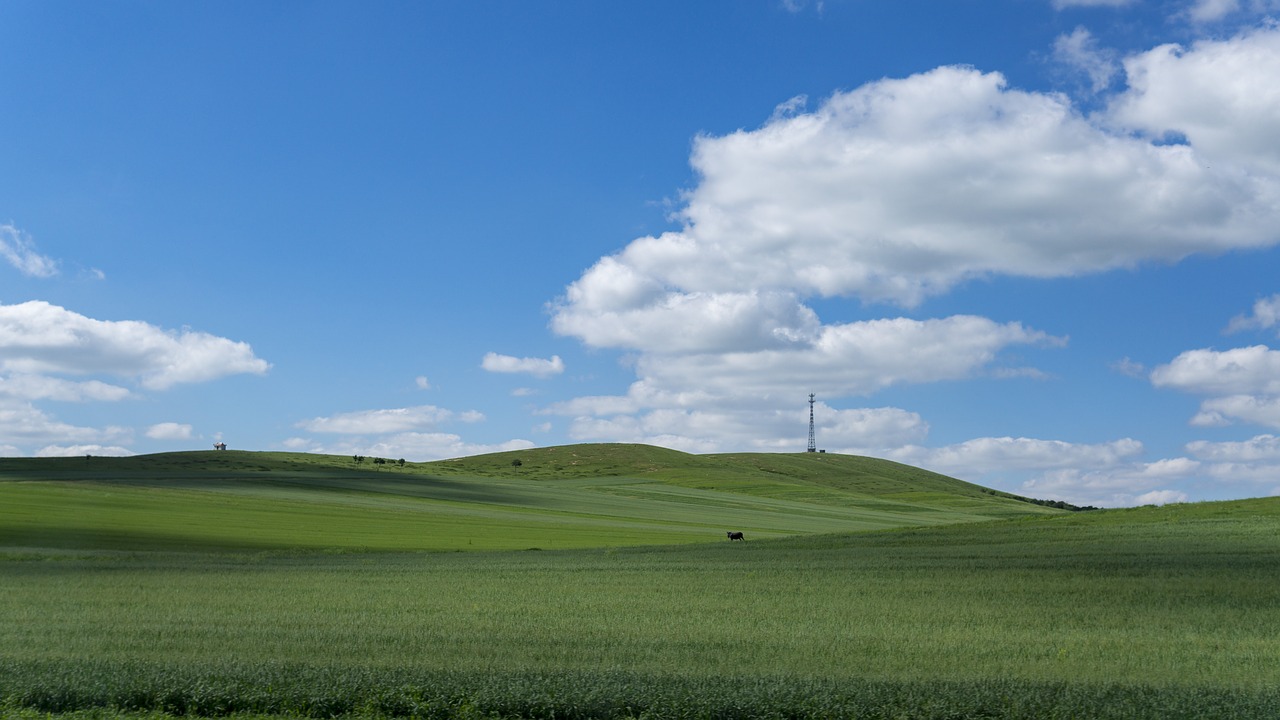 prairie  blue sky  white cloud free photo