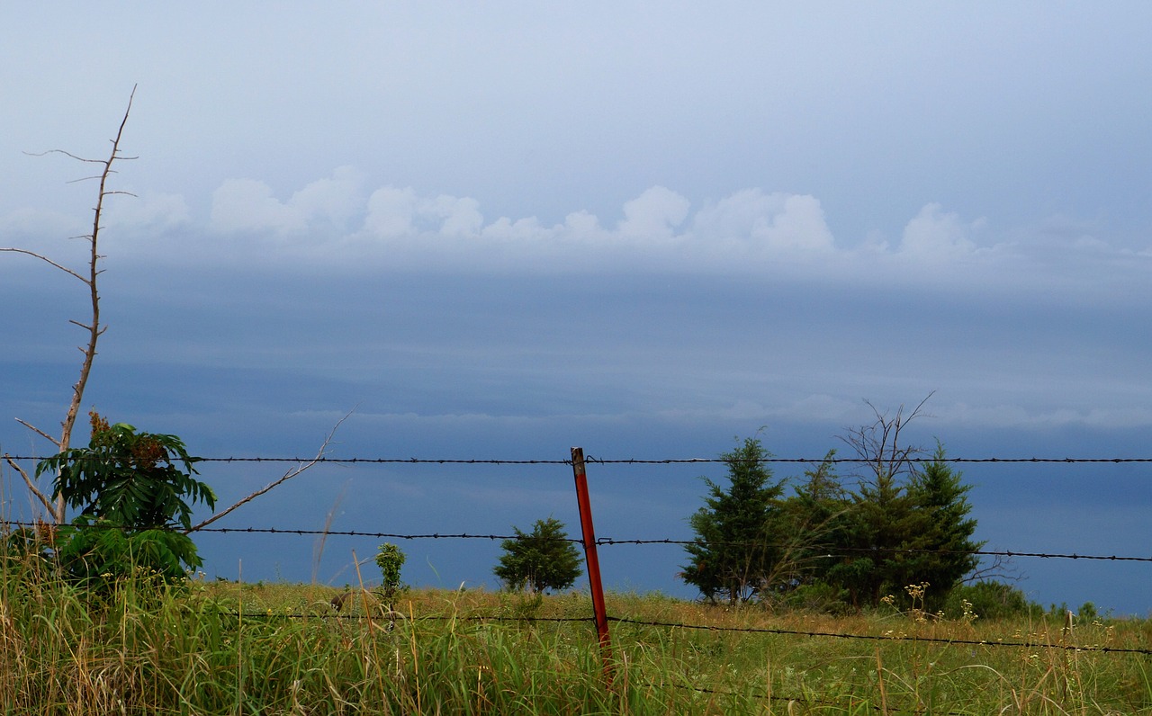 prairie  fence  barbwire free photo