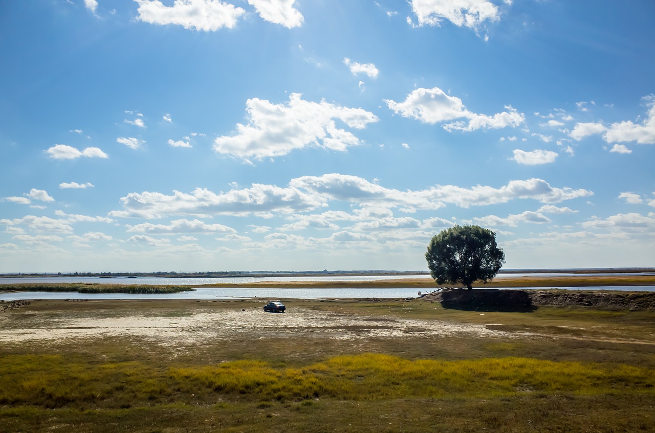 prairie  wetlands  the scenery free photo