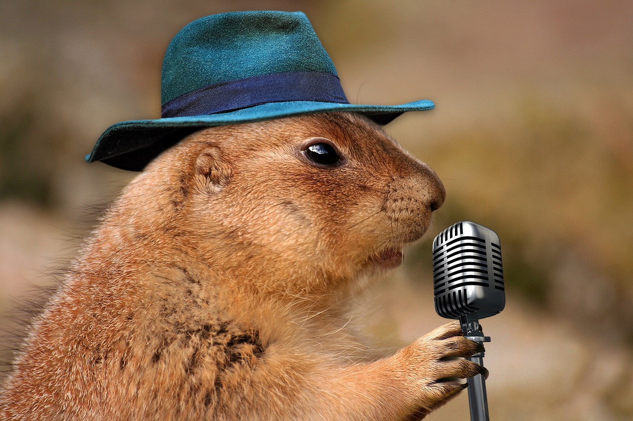 prairie dog singing musical rodent free photo