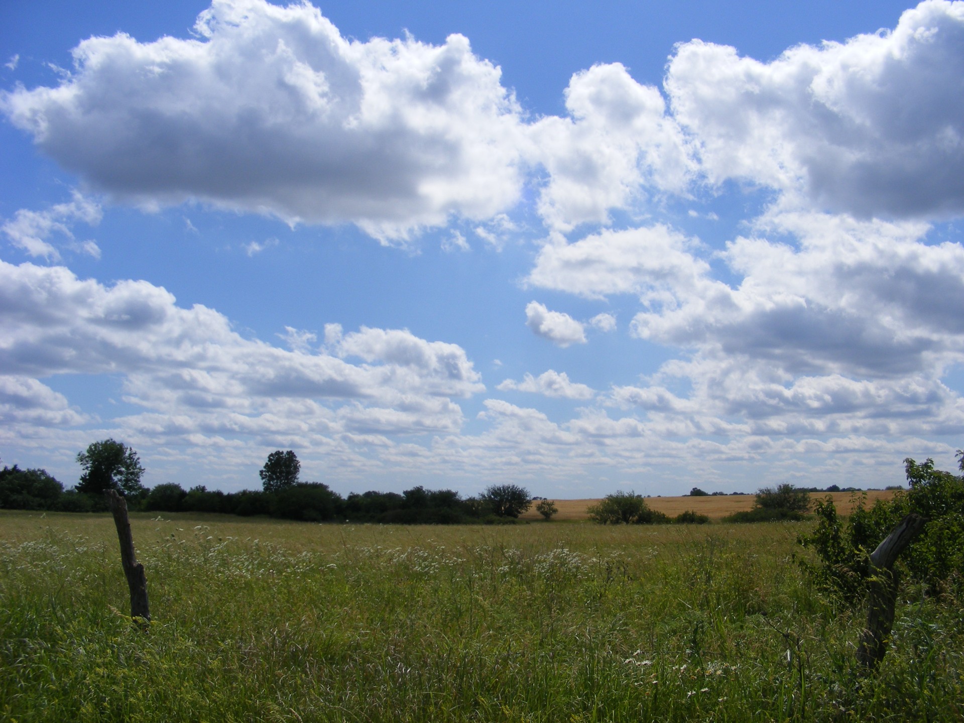 nature landscape skyscape free photo