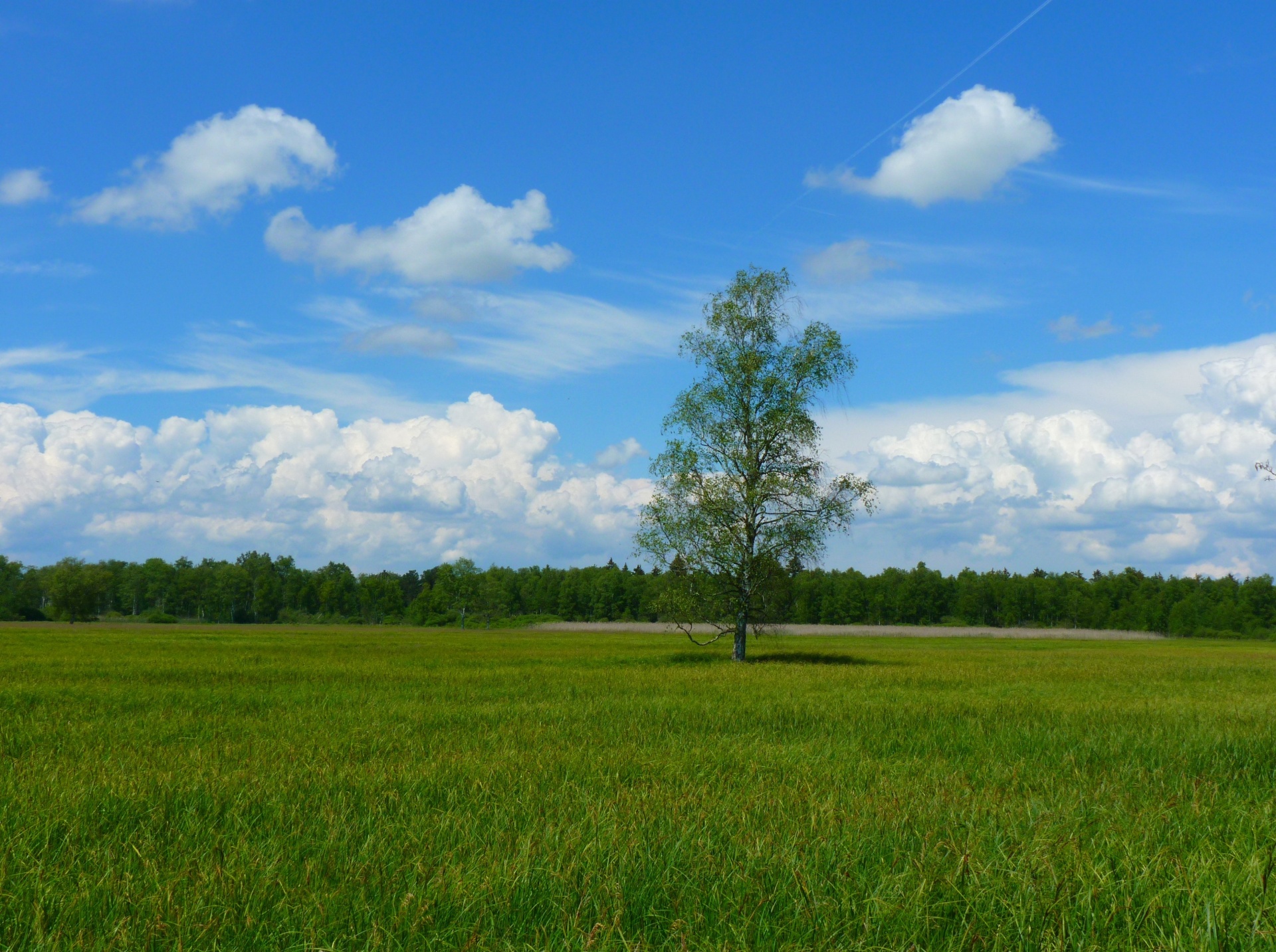 landscape countryside landscapes free photo