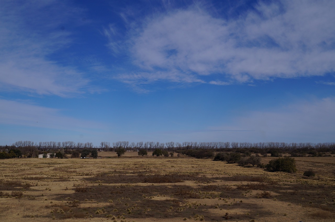 prairies nature beauty free photo