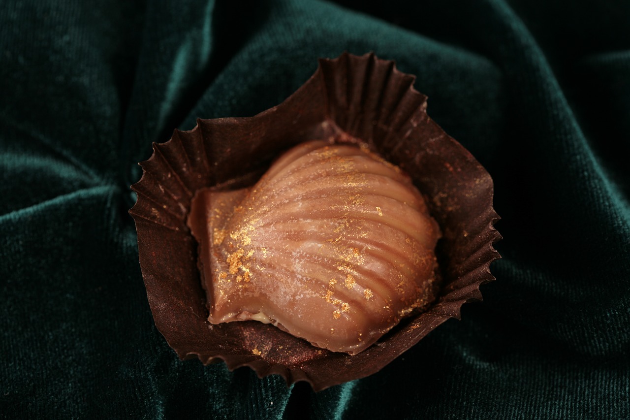 praline  chocolate  manufaktura free photo