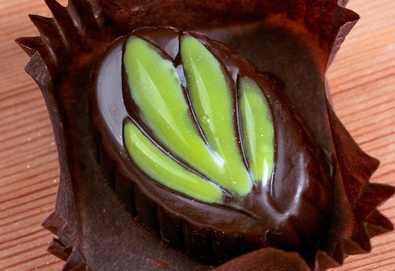 praline  chocolates  delicious free photo