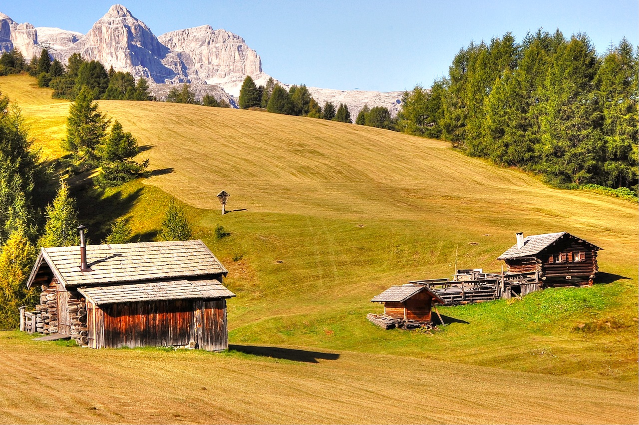 pralongia  dolomites  alm free photo