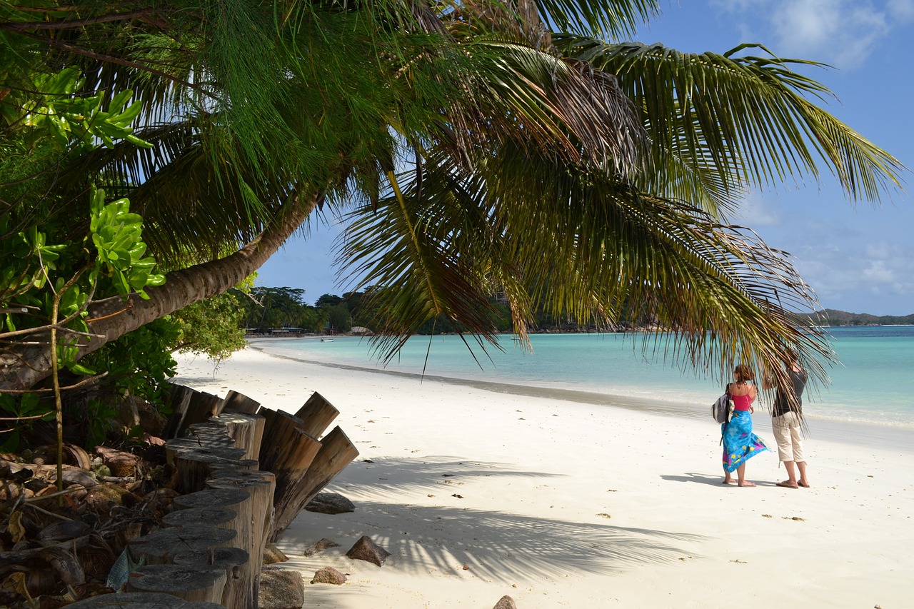 praslin island seychelles free photo