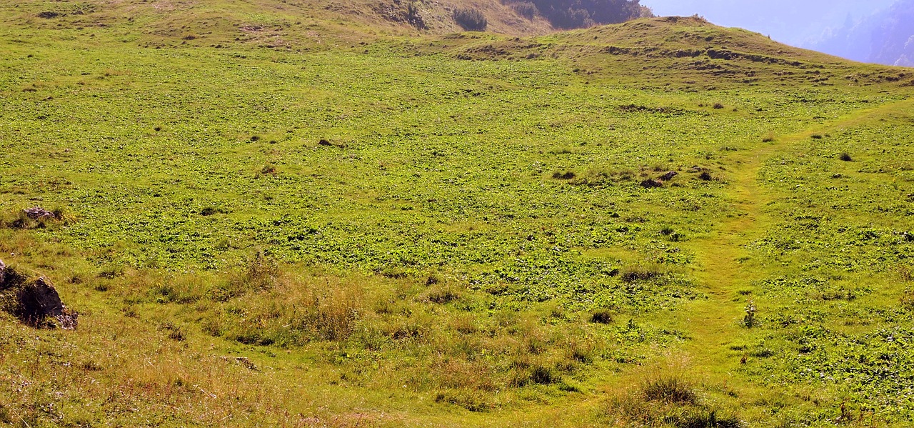 prato green mountain free photo