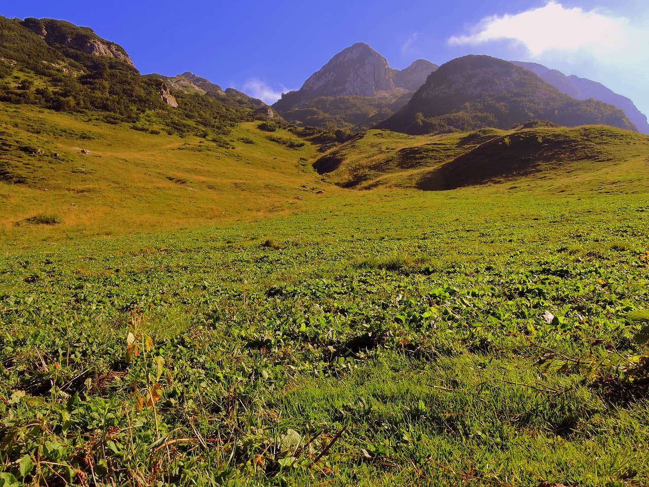 prato mountain green free photo