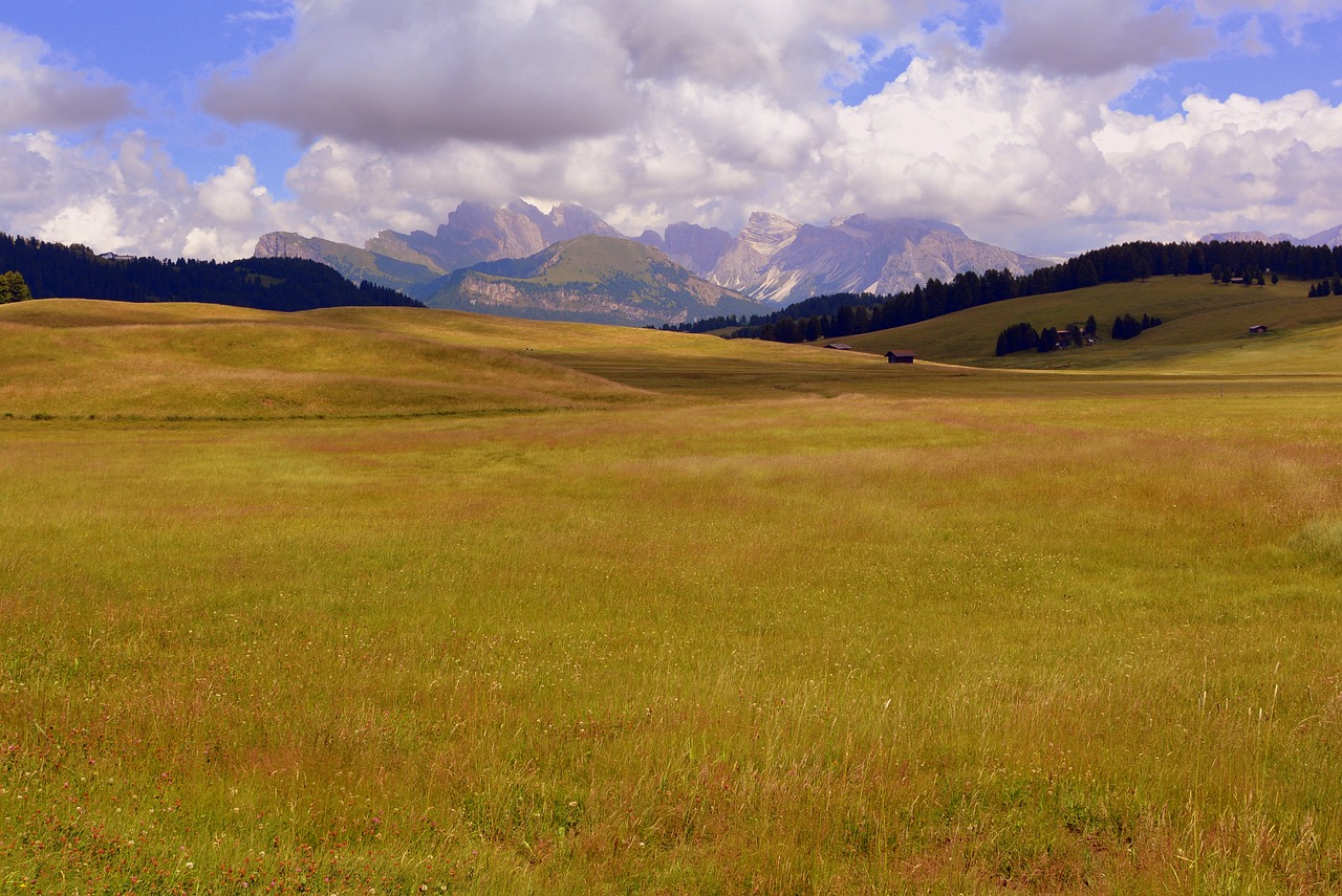 prato prairie dolomites free photo