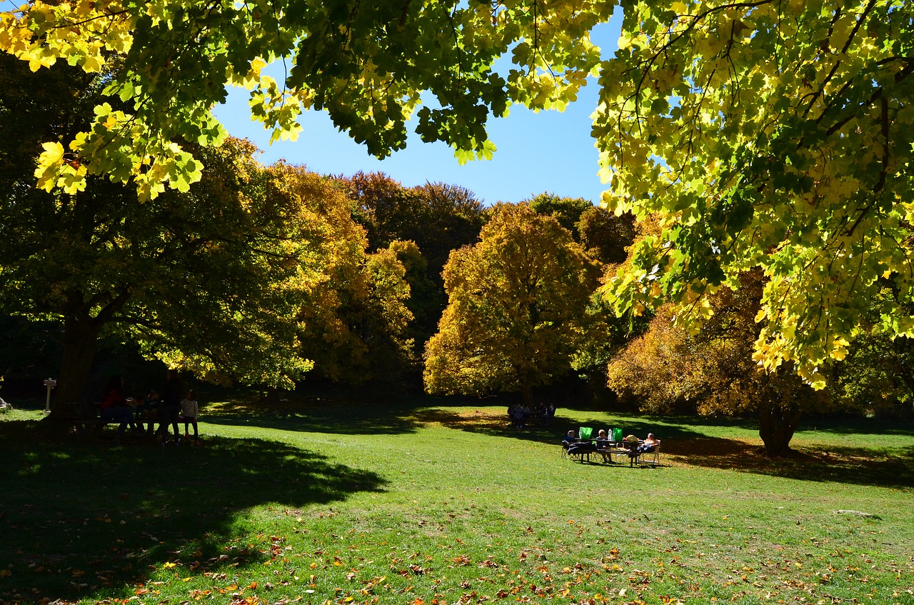 prato green nature free photo