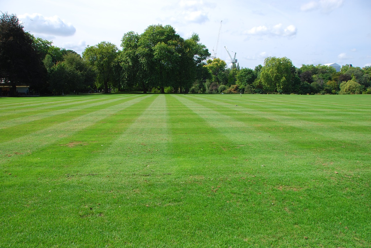 prato  park  green free photo