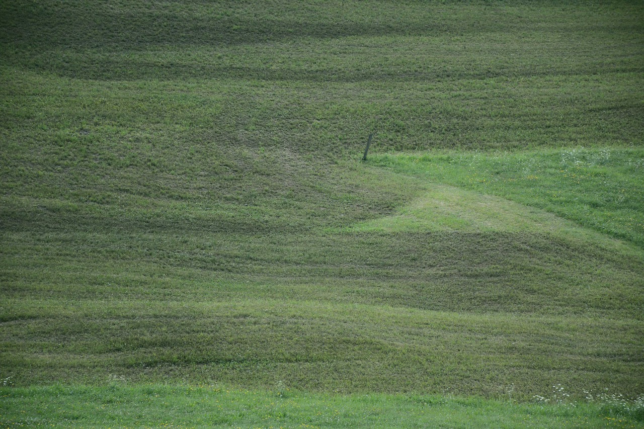 prato  grass  south tyrol free photo