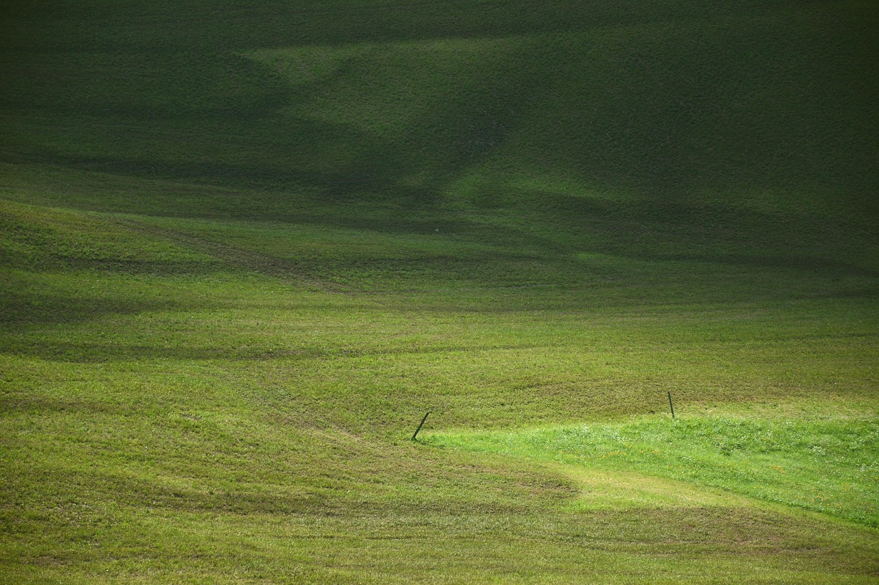 prato  grass  south tyrol free photo