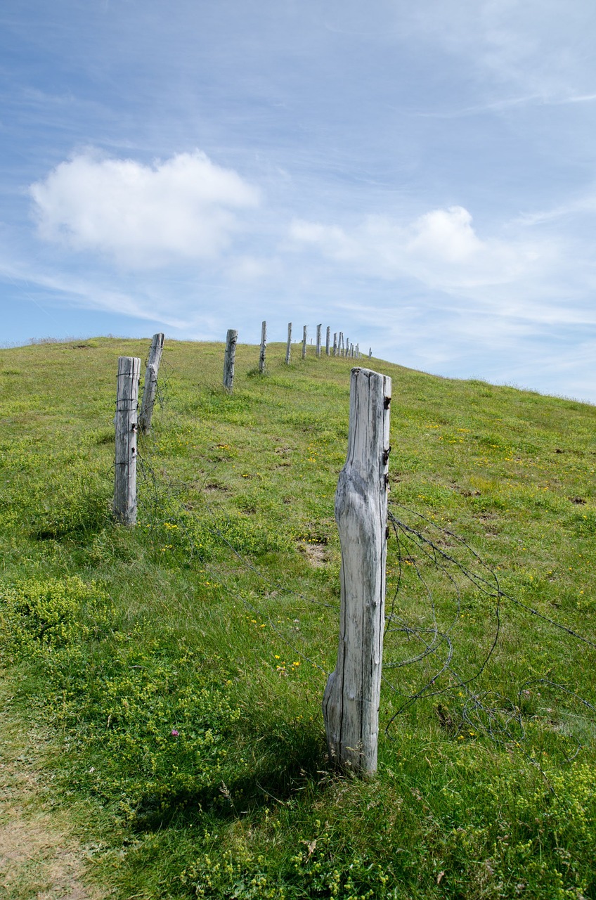 prato picket fence sky free photo