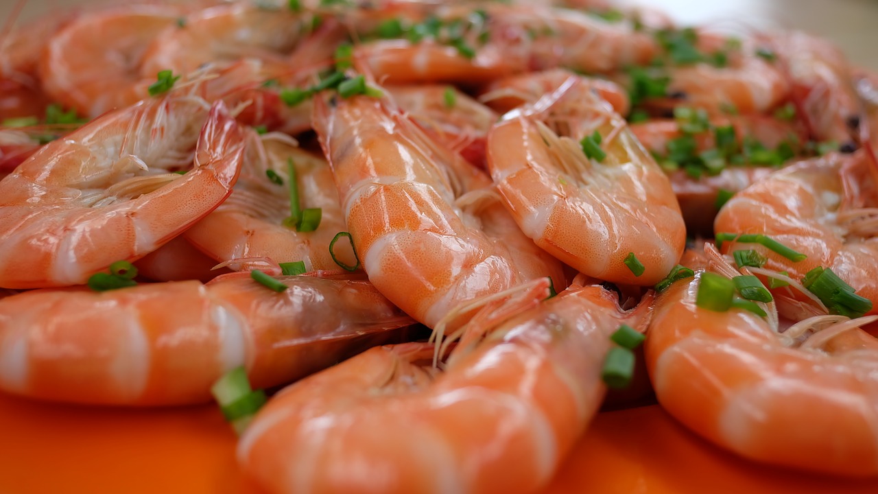 prawns food seafood free photo