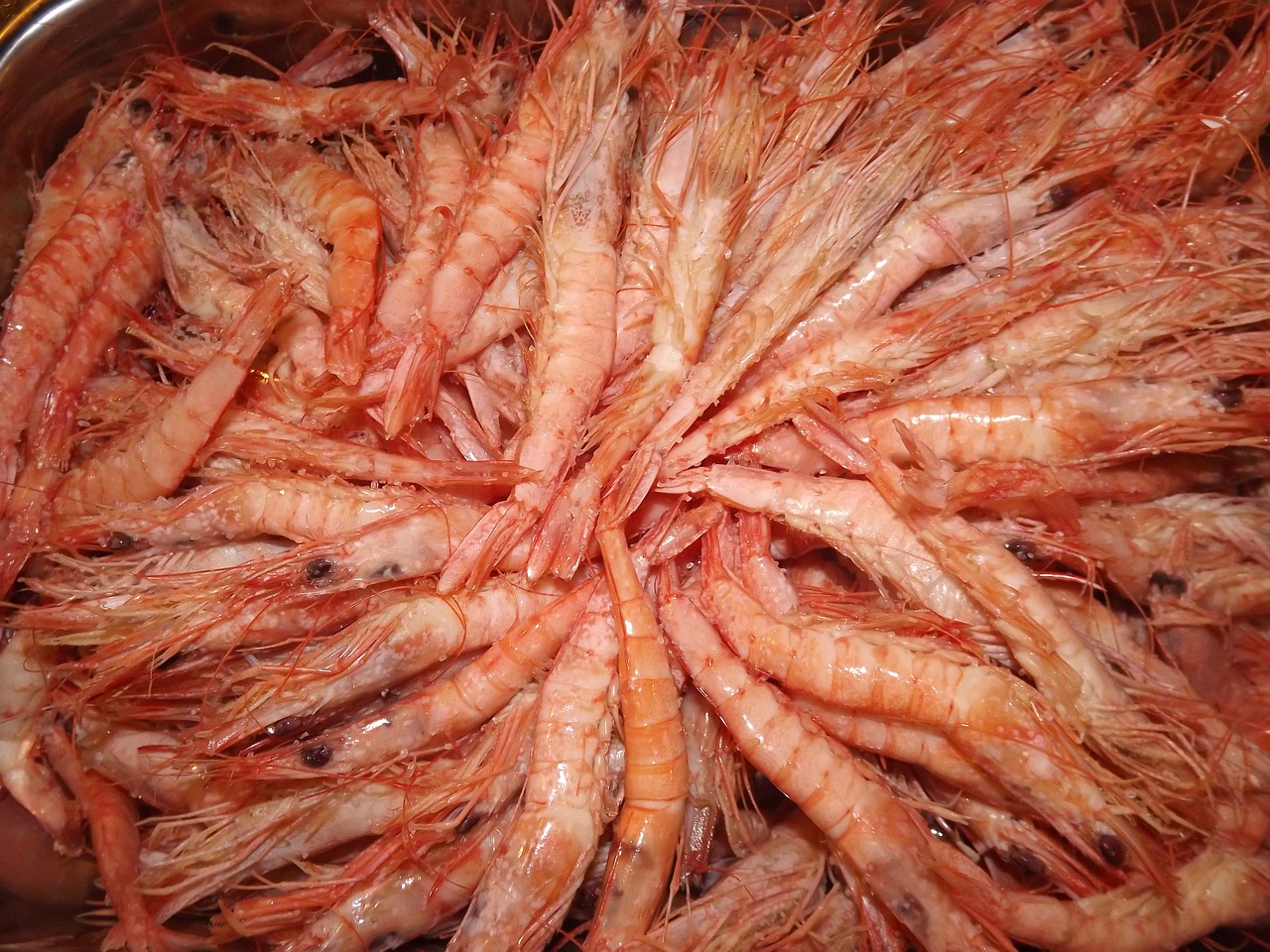 prawns seafood roe free photo