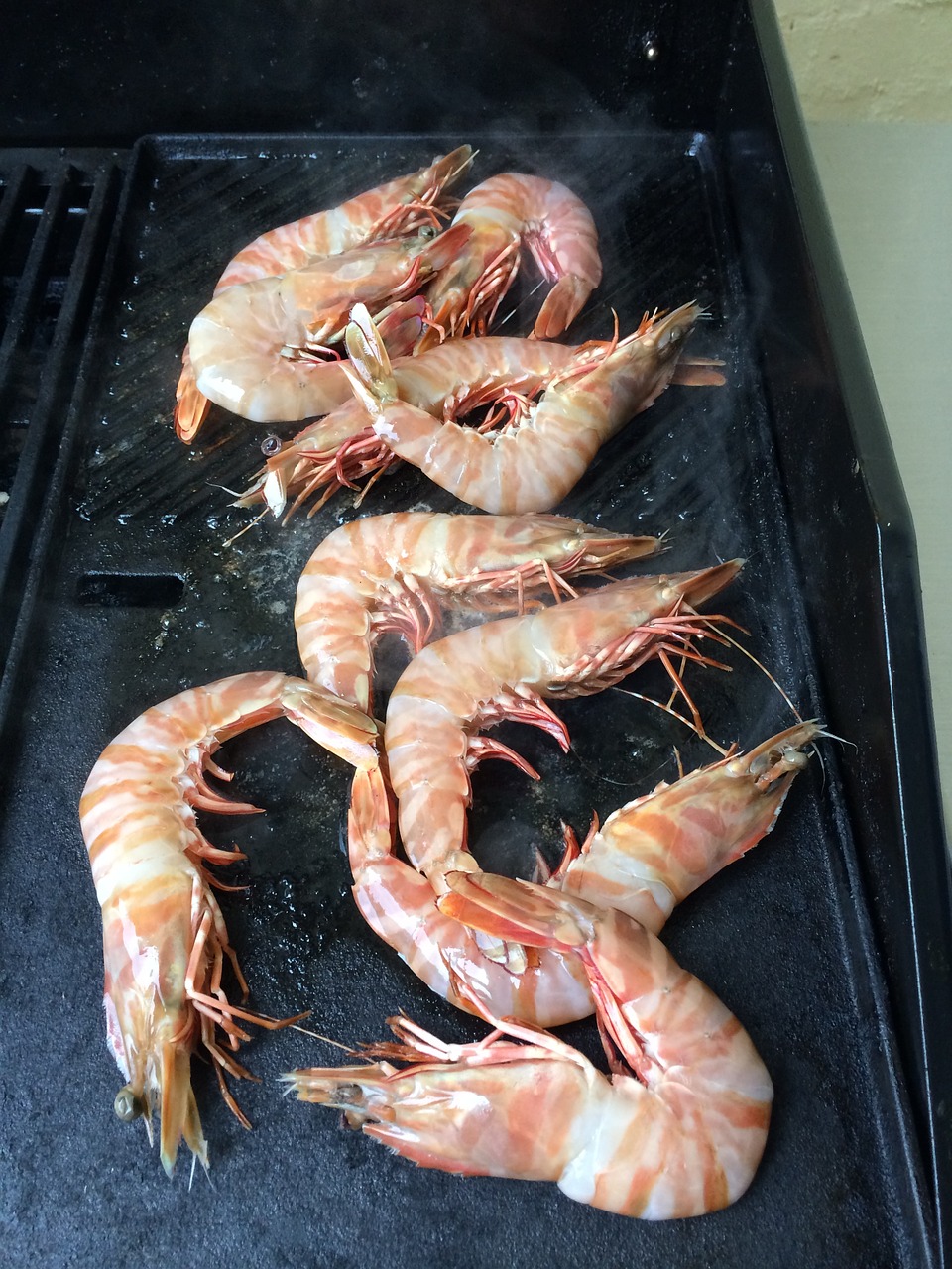 prawns bbq shrimp free photo