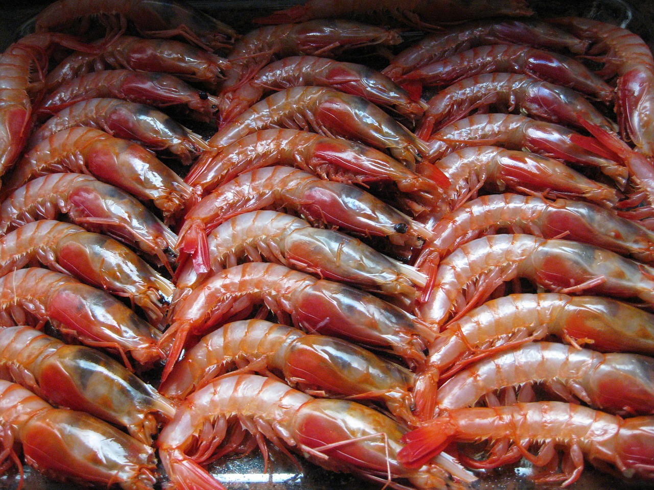prawns baked prawns food free photo