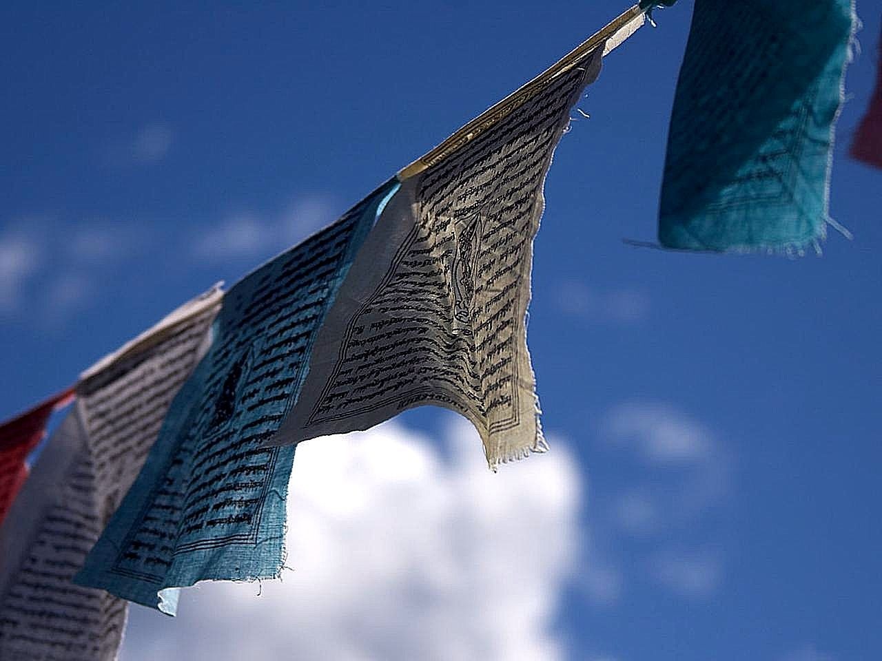 prayer flags breeze free photo