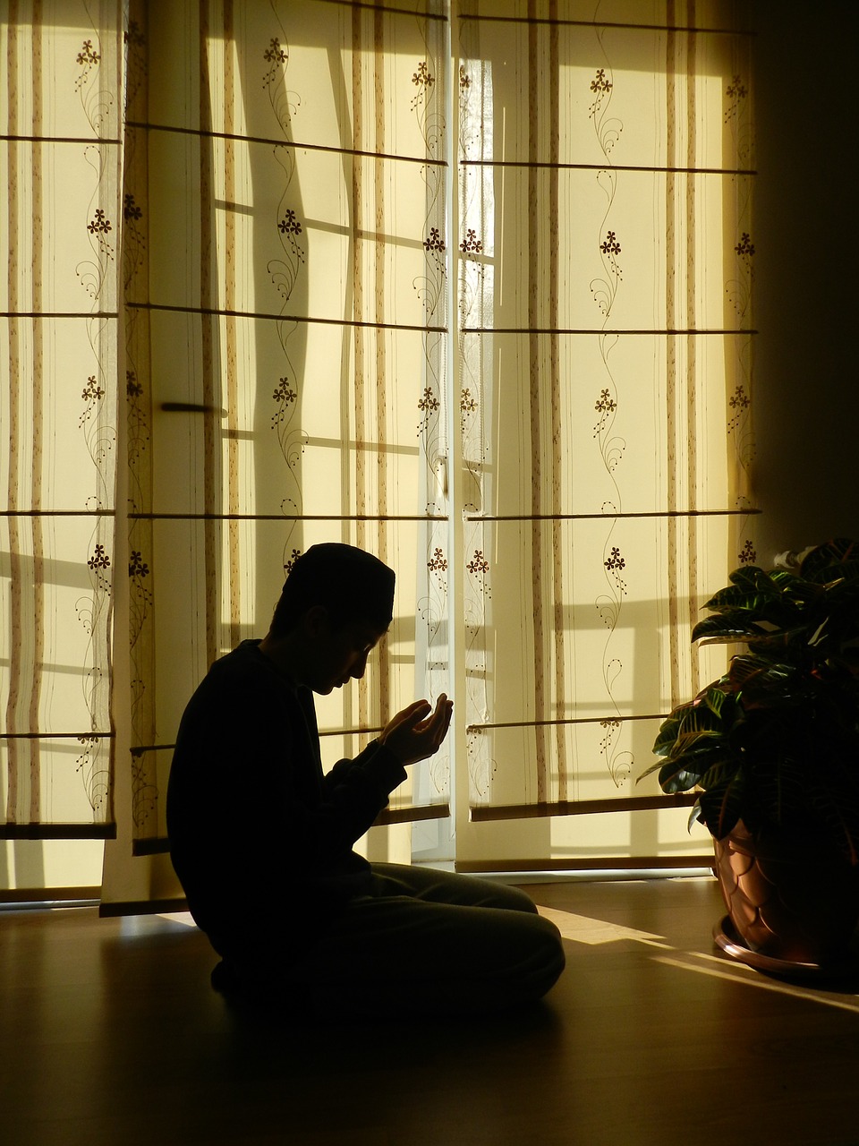 prayer muslim silhouette free photo