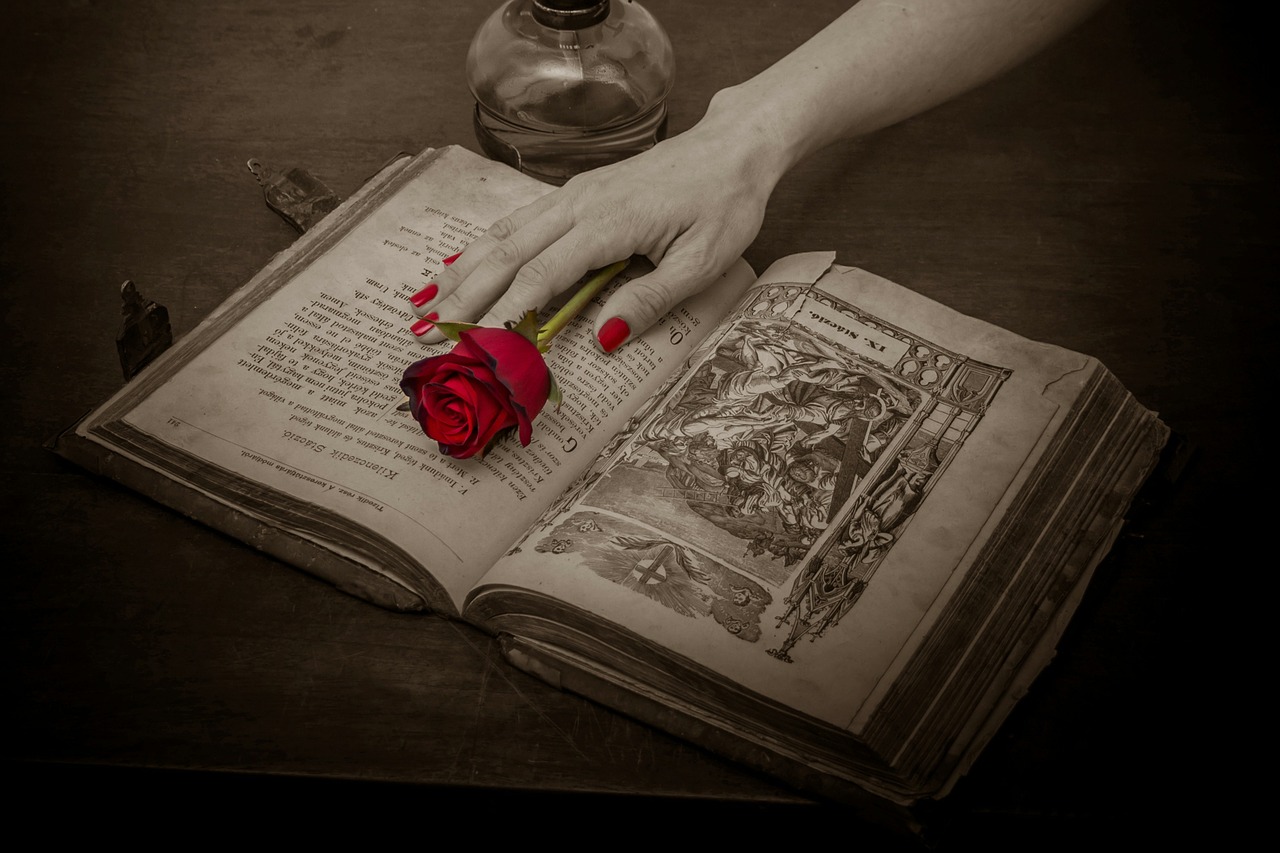 prayer book rose red rose free photo