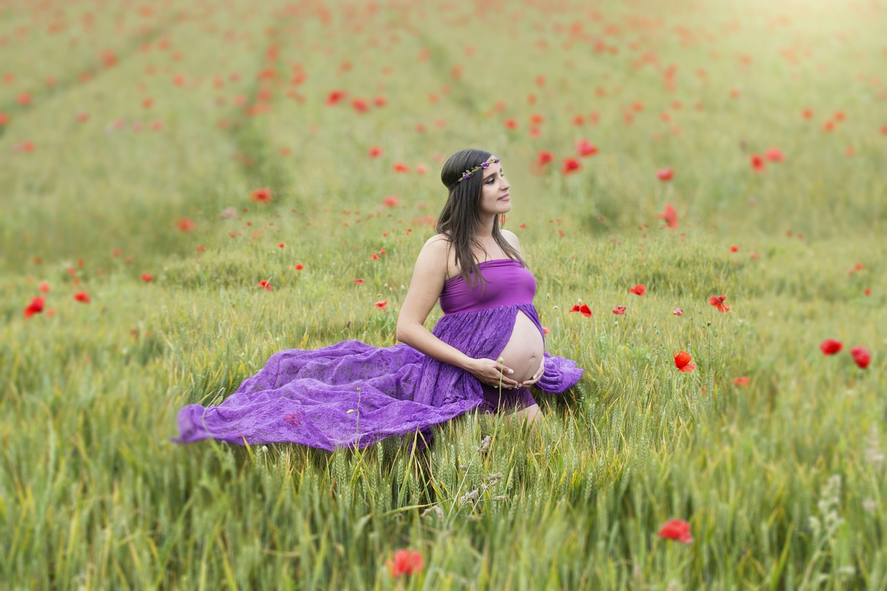 pregnancy wheat pregnant free photo