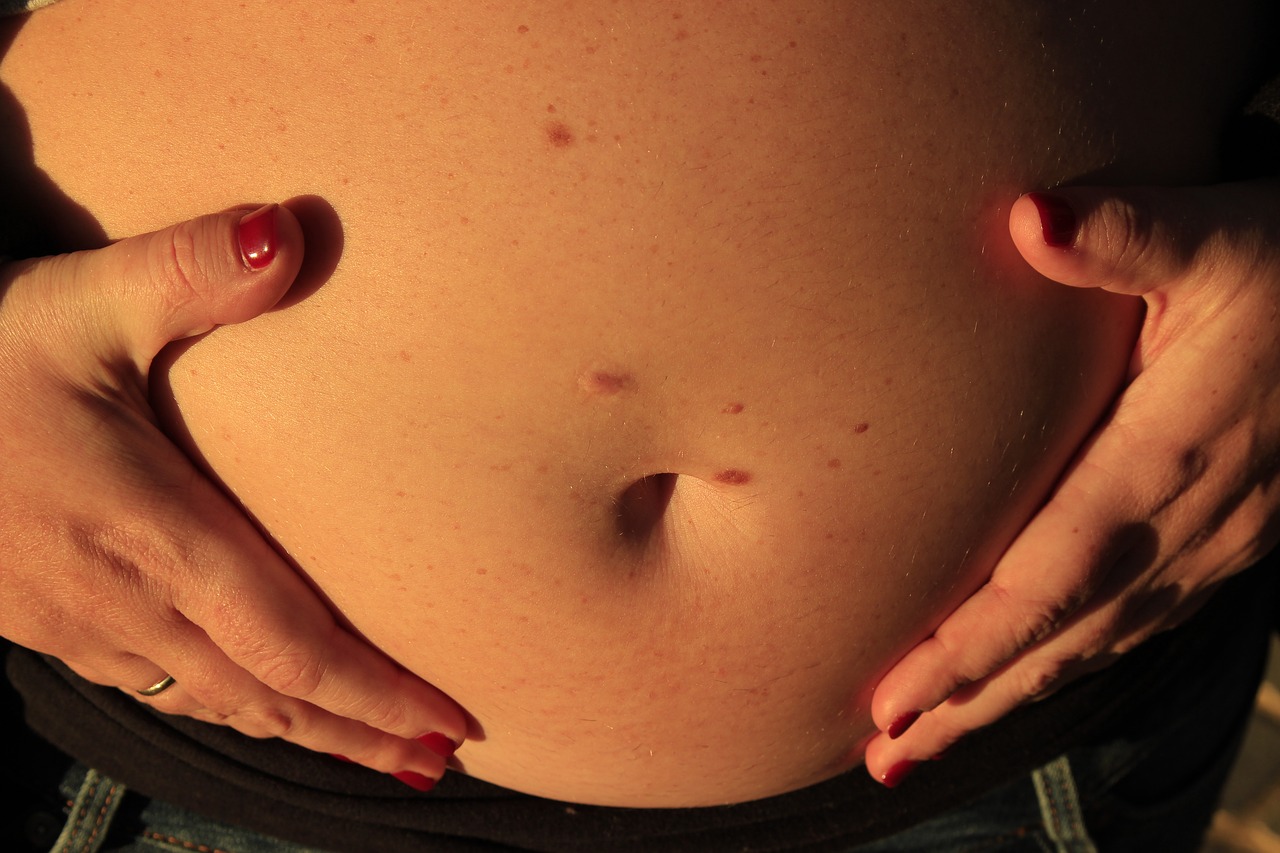 pregnancy barriga gestation free photo