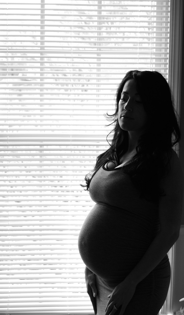 pregnancy woman portrait free photo