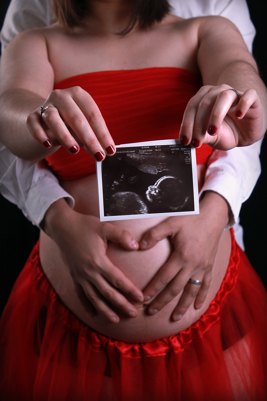 pregnancy  ultrasound  pregnant free photo