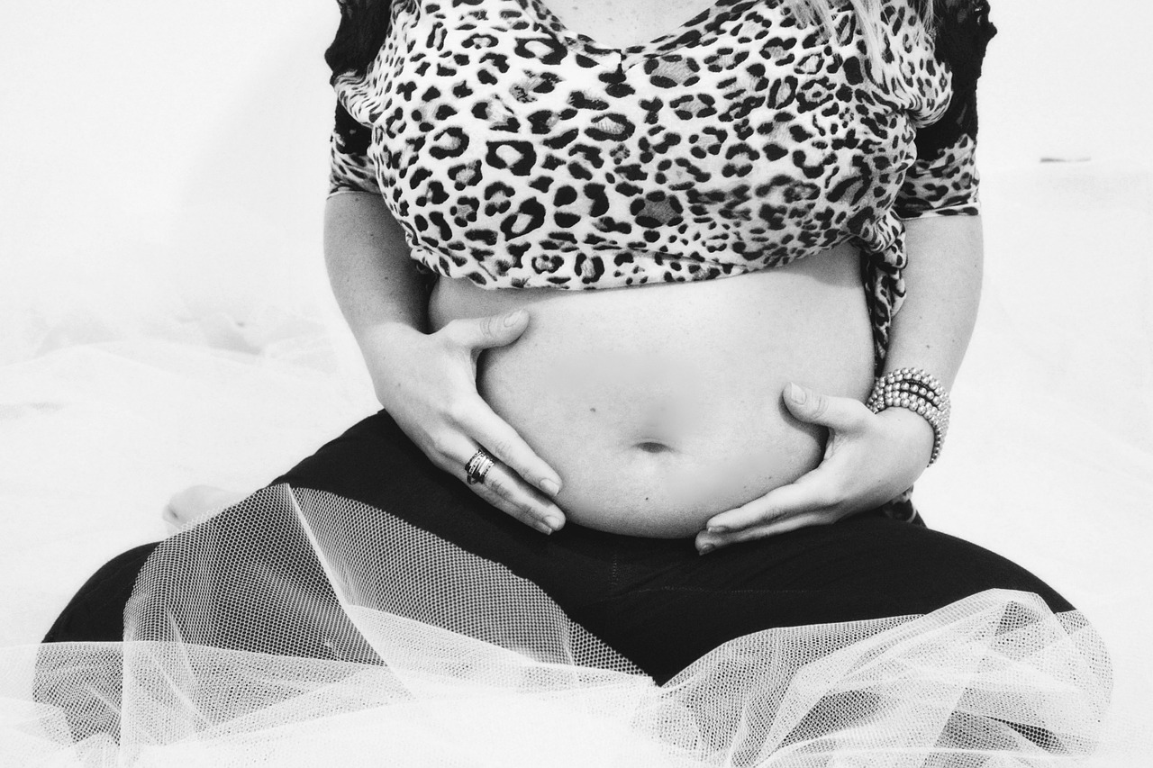 pregnancy pregnant mother free photo