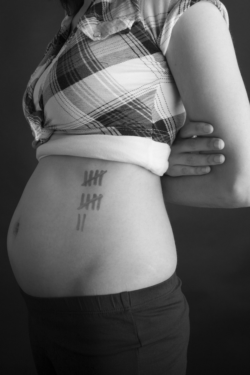 pregnancy baby belly pregnant free photo