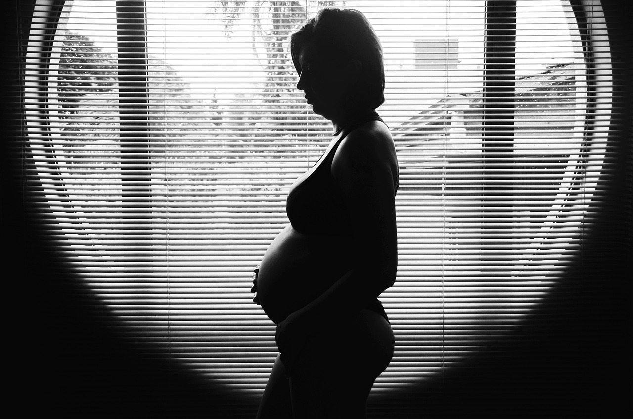 pregnant silhouette pregnancy free photo