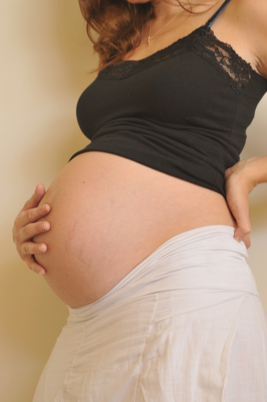 pregnant pregnancy woman free photo