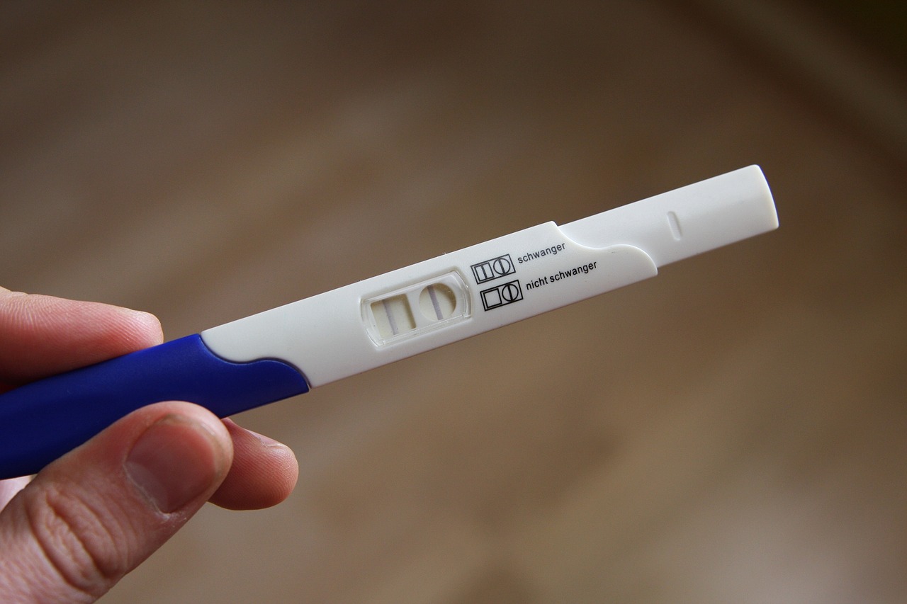 pregnant pregnancy test baby free photo