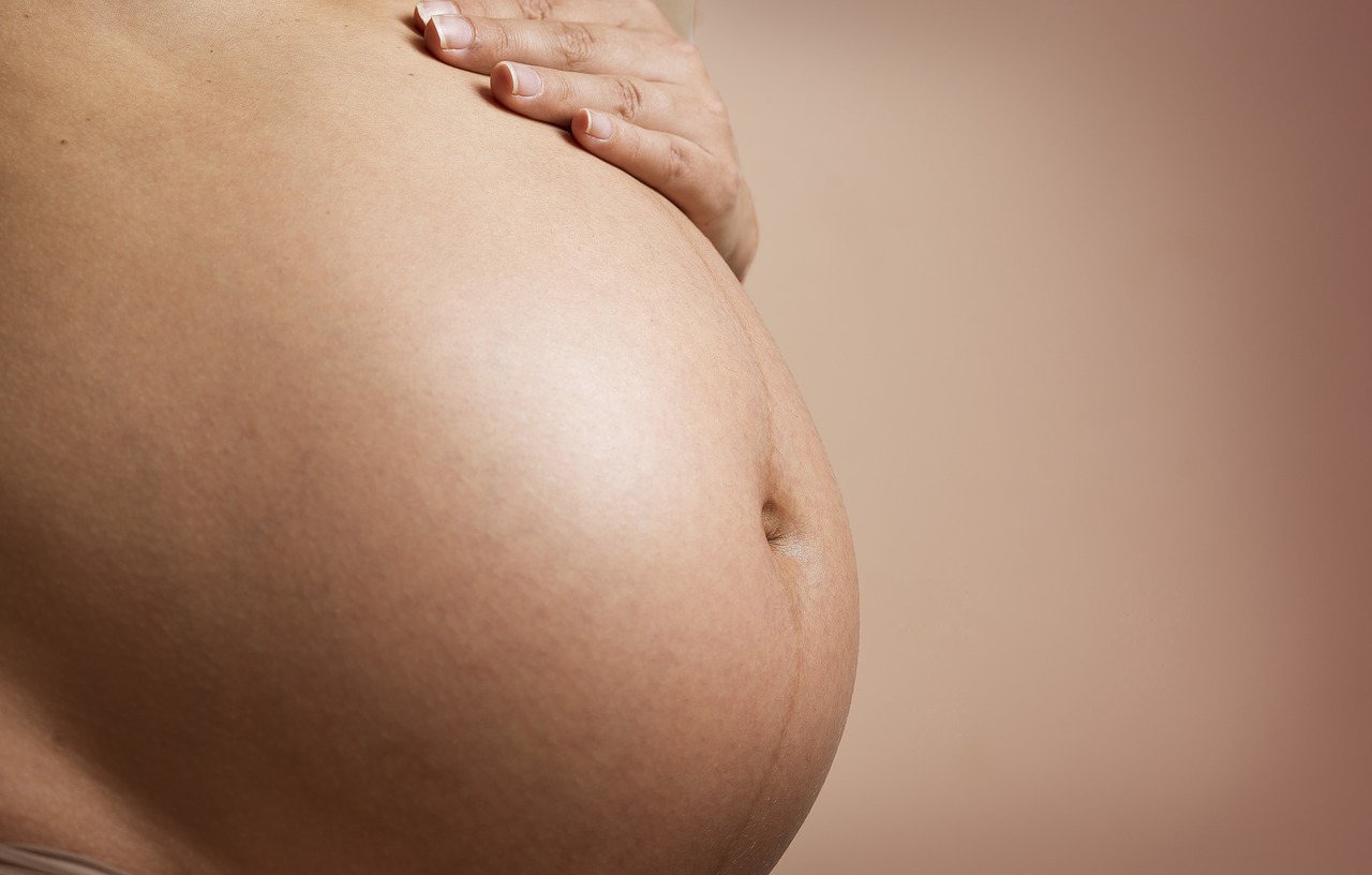 pregnant pregnant woman gestation free photo