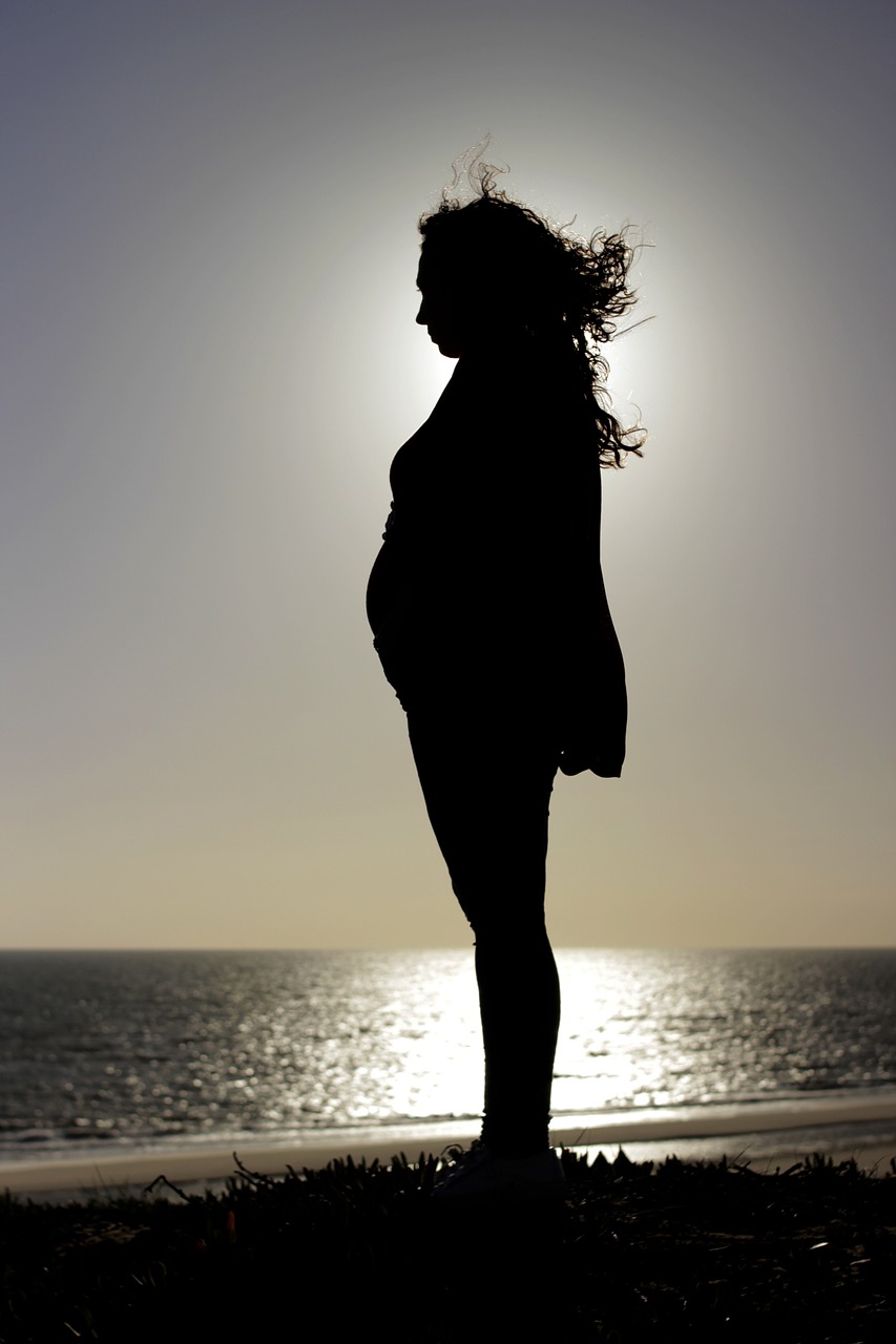pregnant  pregnancy  mama free photo